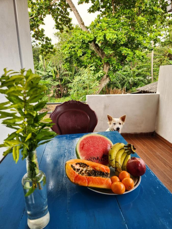 King Coco House Apartment Dikwella Bagian luar foto
